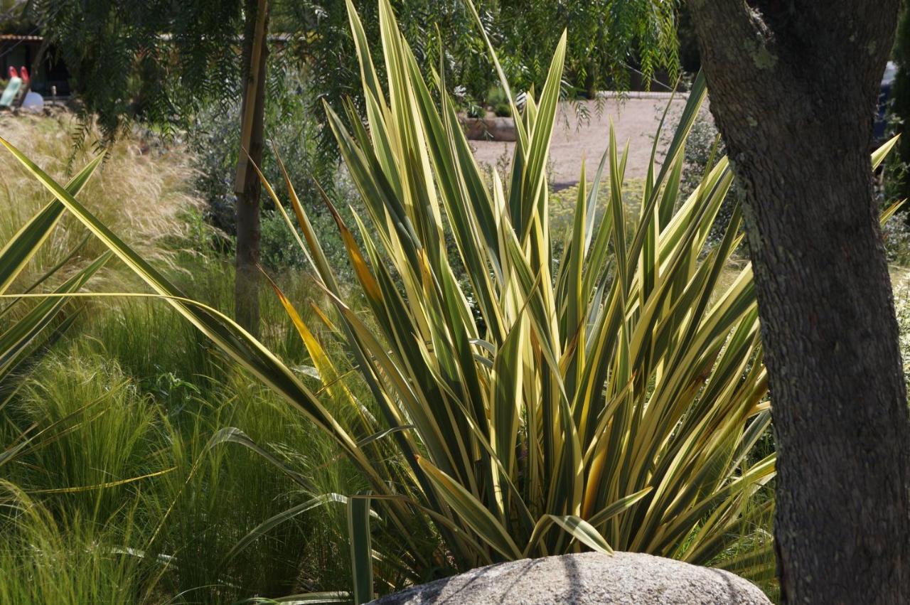 Les Jardins De Santa Giulia - Charmante Chambre D'Hote Porto-Vecchio  Kültér fotó