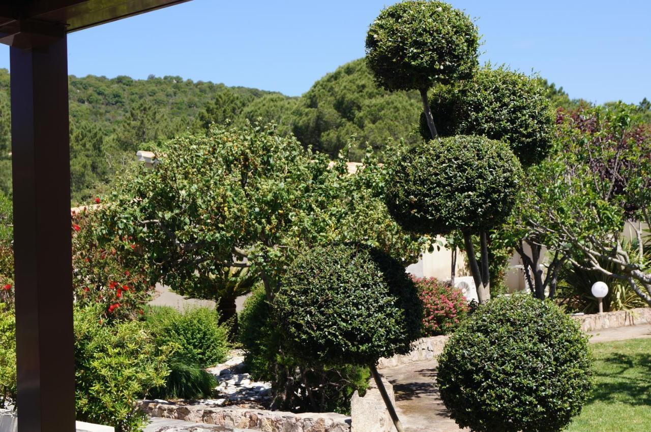 Les Jardins De Santa Giulia - Charmante Chambre D'Hote Porto-Vecchio  Kültér fotó